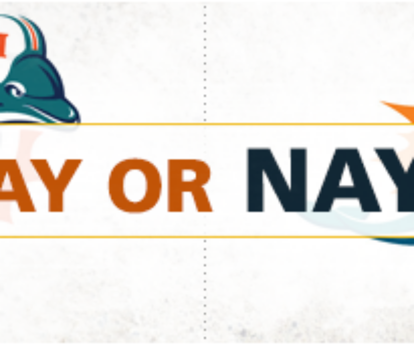 Brilliant or Blunder? The New Miami Dolphins Logo.