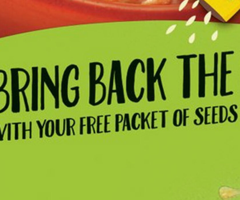 To Bee or not to Bee