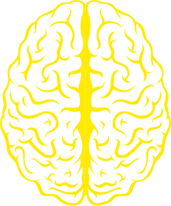 Brain Graphic